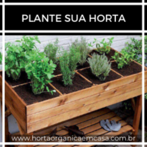 Plante uma horta