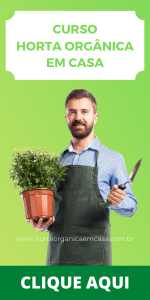 Plante sua comida em casa!