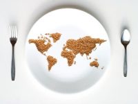Dia Mundial da Alimentação 2: ALERTA SOBRE COMIDA