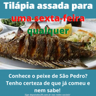 Peixe de São Pedro: Conheça e cozinhe